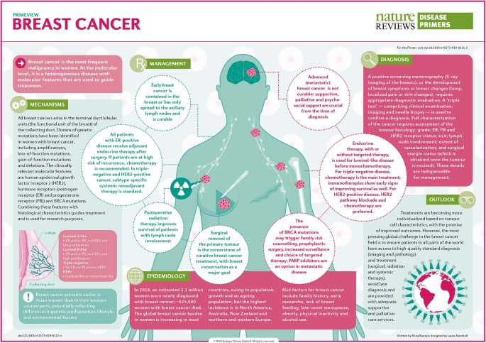 Breast Cancer Nature Reviews Disease Primers