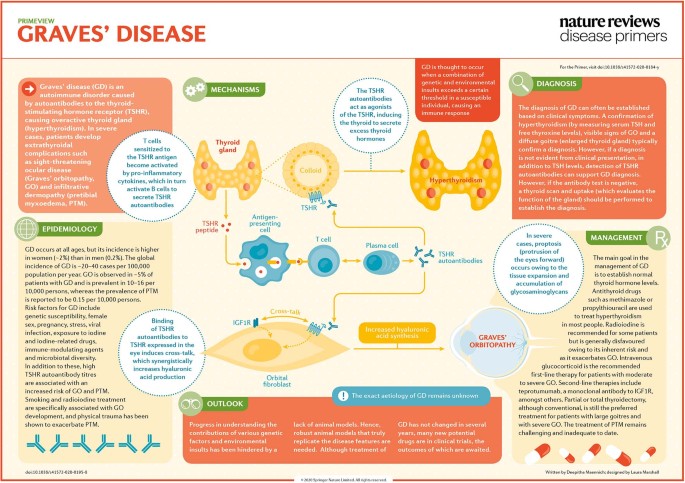 Image result for Why Does Graves Disease Develop? infographics
