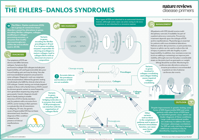 glutathione ehlers-danlos ehlers danlos Biological insights in the pathogenesis of hypermobile syndrome from proteome profiling I just got back from