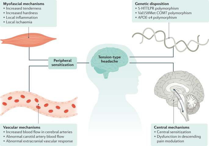 Tension Type Headache Nature Reviews Disease Primers