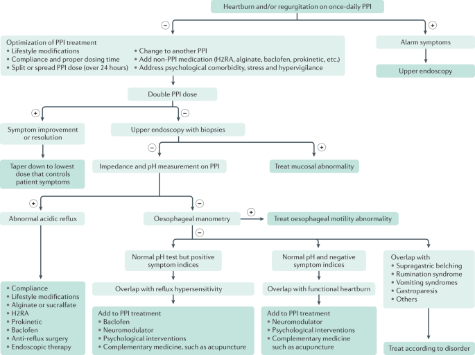 Multi-Society Consensus Conference and Guideline on the Treatment of  Gastroesophageal Reflux Disease (GERD) - A SAGES Publication