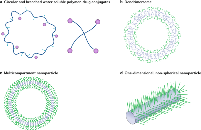 Polymer–drug conjugate therapeutics: advances, insights and