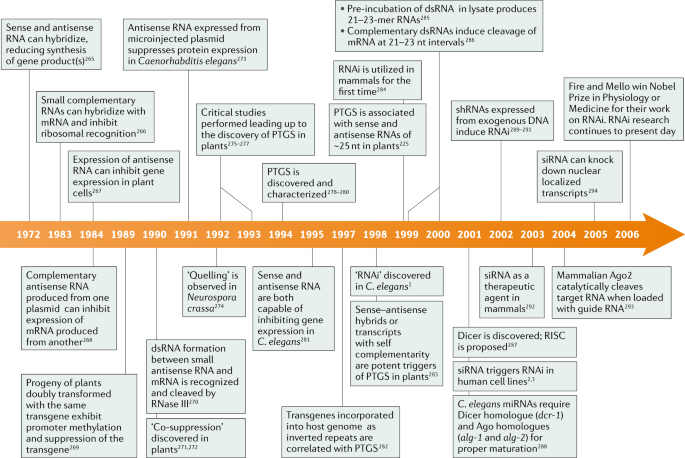 rnai based therapeutics