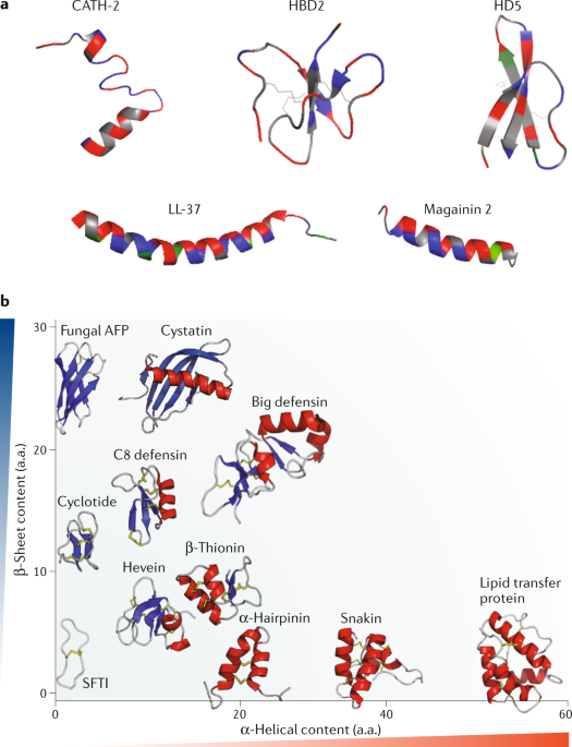 Host defense peptides combined with MTA extract increase the