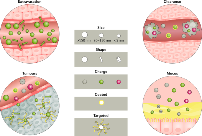 Nanomaterials, Free Full-Text