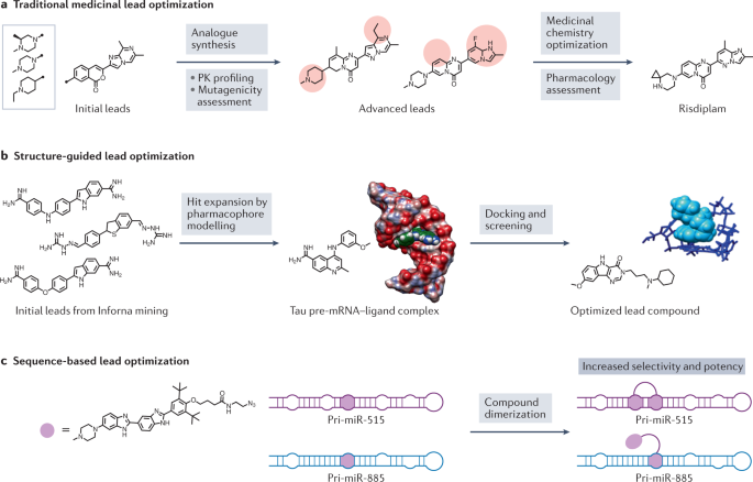 Identification of and Structural Insights into Hit Compounds Targeting  N-Myristoyltransferase for Cryptosporidium Drug Development