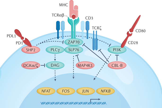 Fierce Pharma Feature: Small molecule biomarkers in precision medicine