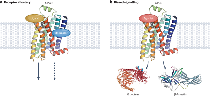 will melanotan fail a drug test Know your molecule: pharmacological characterization of drug candidates to  enhance efficacy and reduce late-stage attrition