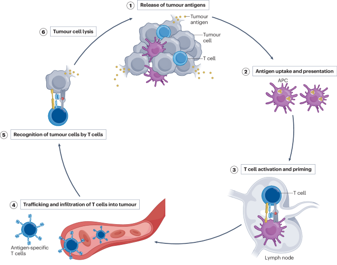 Enhancing in situ cancer vaccines using delivery technologies Nature