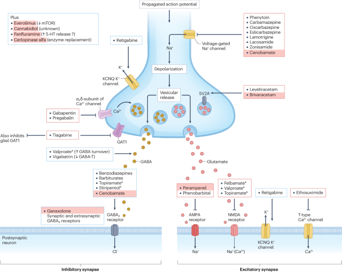[求文] 徵paper一篇