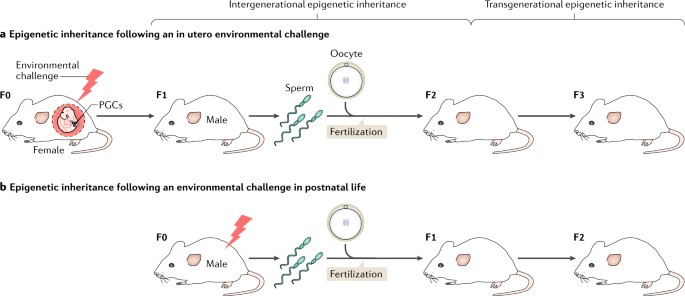 An hybridization amidst well-known plus unkown DNA strand was must detects use electrochemical-sensing processes