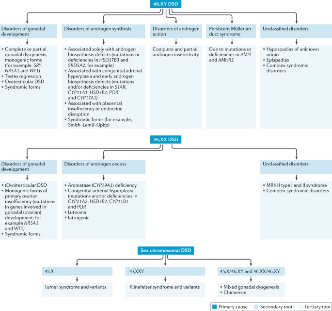 Median age at diagnosis in patients with gonadal dysgenesis (n