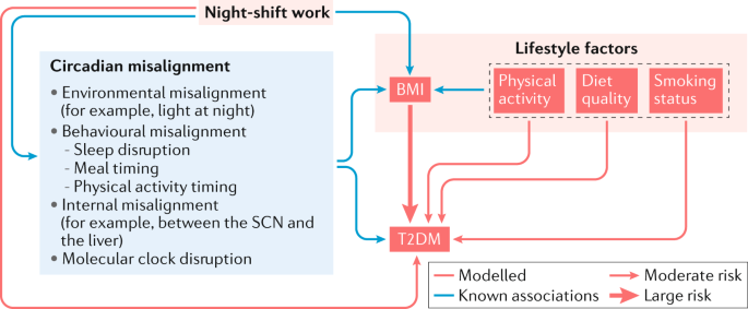 Types of Work Shifts  Discussing First Shift & Beyond