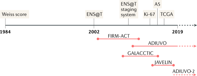 Gastric cancer international symposium proceedings advances in the biosciences