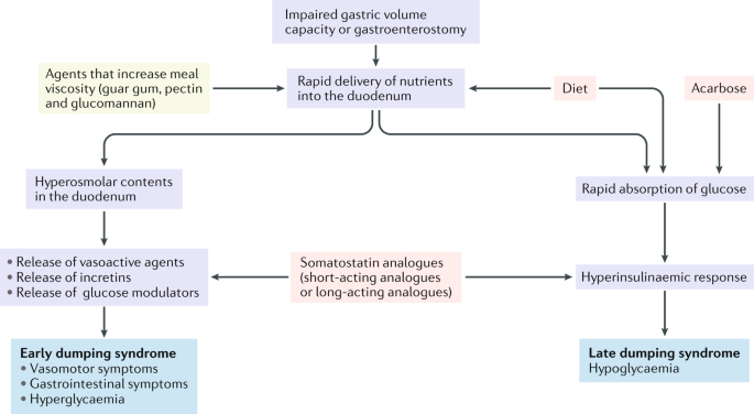 International consensus on the diagnosis and management of dumping syndrome  | Nature Reviews Endocrinology