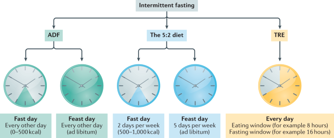 Clinical application of intermittent fasting for weight loss: progress and  future directions | Nature Reviews Endocrinology