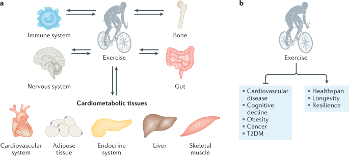 Exercise versus no exercise for the occurrence, severity and