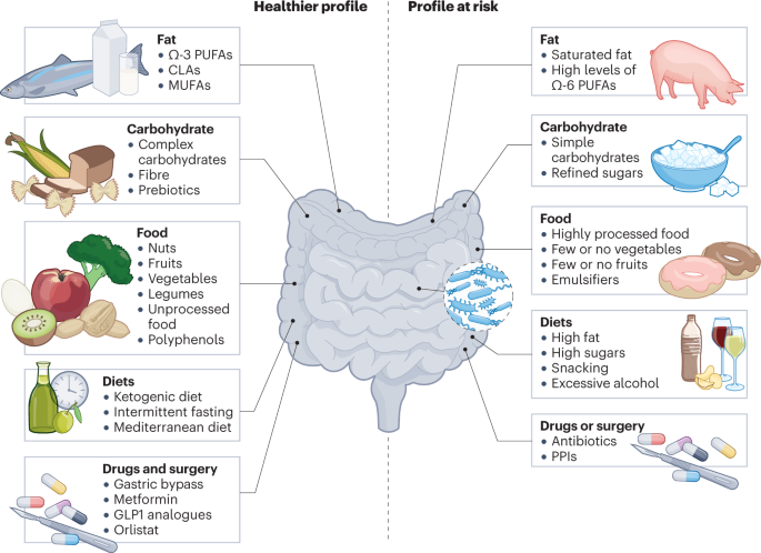 Schizophrenia and obesity: May the gut microbiota serve as a link for the  pathogenesis? - Wu - 2023 - iMeta - Wiley Online Library