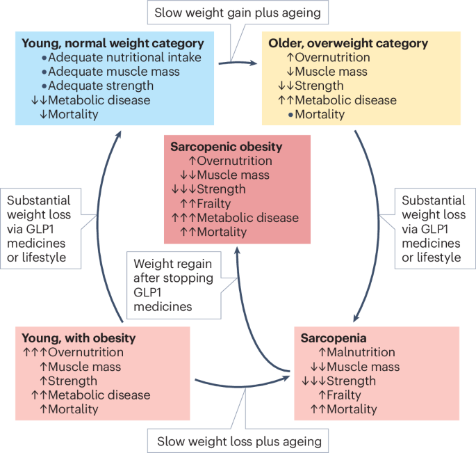 Causes of sarcopenia and frailty in people taking GLP1RAs - Nature