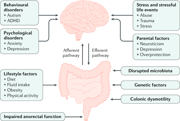 TENS Placement for Constipation: Instructions and FAQs