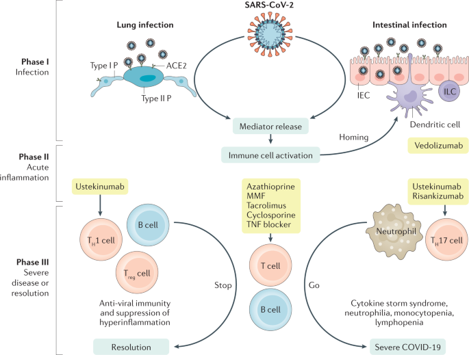 Covid 19 Biologic And Immunosuppressive Therapy In Gastroenterology And Hepatology Nature Reviews Gastroenterology Hepatology