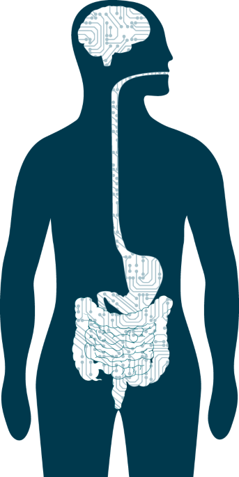 Glp1-mediated gut–brain neural circuit controls appetite suppression