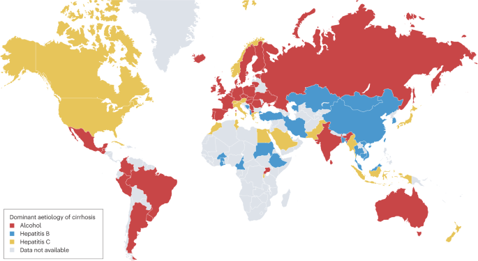 The Most Popular Anime Around the World [Statistics]