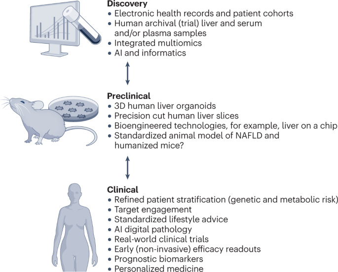 In vivo tests - UB-CARE ITALY