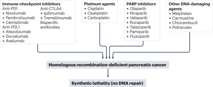 Frontiers  P2RY12-Inhibitors Reduce Cancer-Associated Thrombosis and Tumor  Growth in Pancreatic Cancers