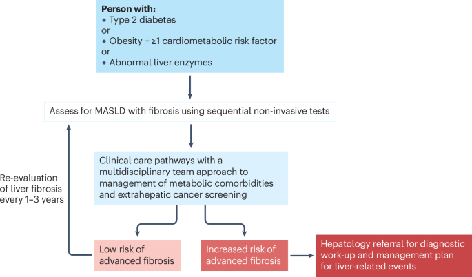 MASLD の新しい治療法と最新の臨床診療ガイドライン
