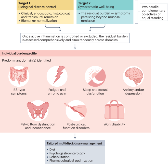 Beyond inflammation: the residual burden as the next target in inflammatory bowel disease