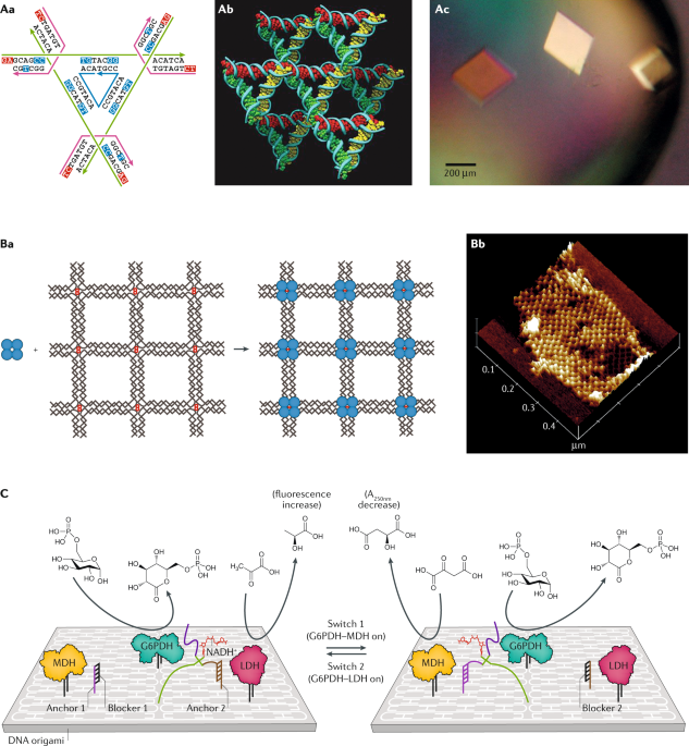 DNA elasticity biases HIV integration in nucleosomes. a Model for tDNA