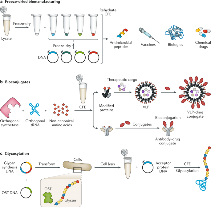 High-Throughput Regulatory Part Prototyping and Analysis by Cell-Free  Protein Synthesis and Droplet Microfluidics