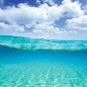 Plenty Of Single Cells In The Sea Nature Reviews Genetics