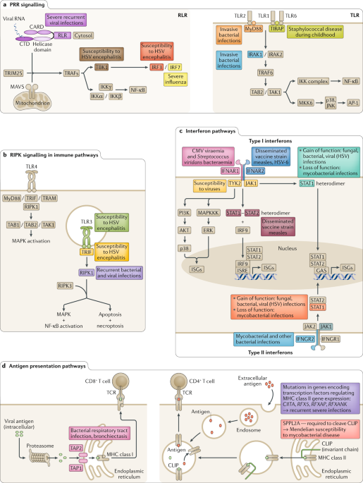 Host genetics and infectious disease: new tools, insights and translational opportunities
