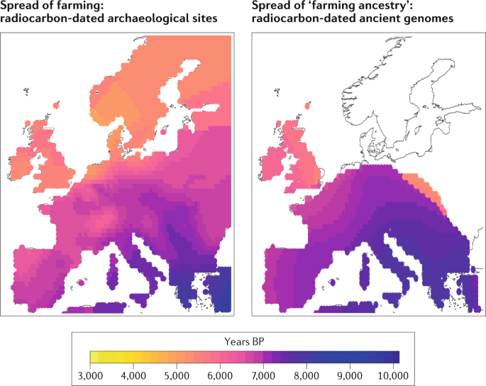 Beyond Broad Strokes Sociocultural Insights From The Study Of Ancient Genomes Nature Reviews Genetics