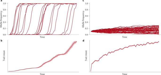 Polygenic Adaptation A Unifying Framework To Understand Positive Selection Nature Reviews Genetics Polygenic Adaptation A Unifying Framework To Understand Positive Selection Nature Reviews Genetics