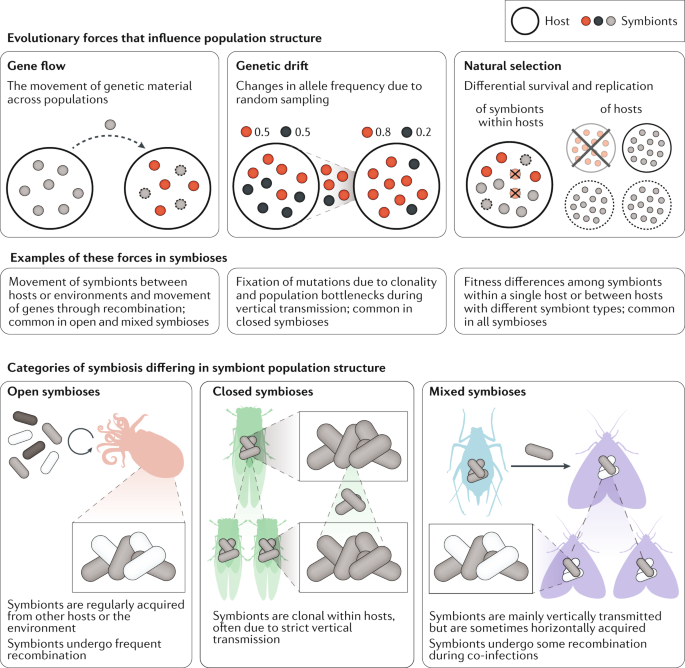 Genetic innovations in animal–microbe symbioses | Nature Reviews Genetics