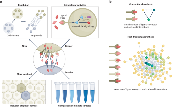 The diversification of methods for studying cell–cell interactions 