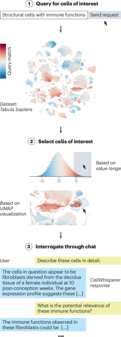 Let the data speak — single-cell analysis with CellWhisperer | Nature ...