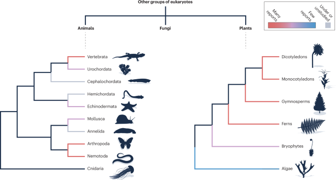 Genetics and genomics of hybridization