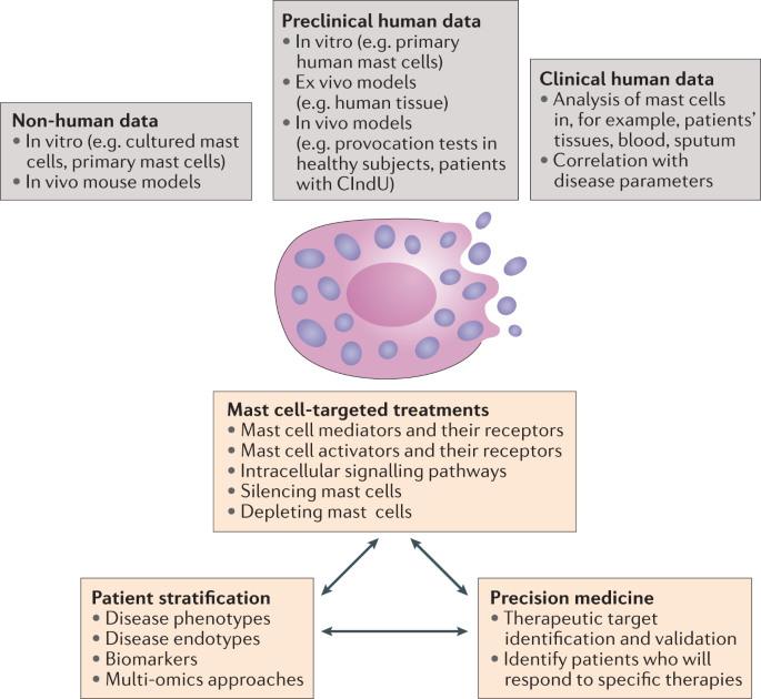 In vivo tests - UB-CARE ITALY