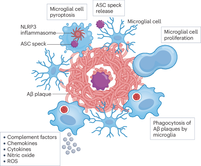 Neuroinflammation in Alzheimer's disease