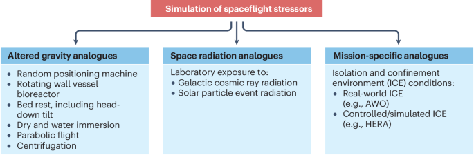 Astroimmunology: The effects of spaceflight and its stressors on the immunity