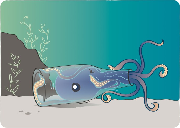 Hiding in reflections | Nature Reviews Materials