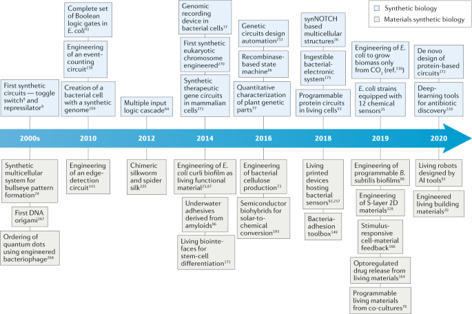 Materials design by synthetic biology