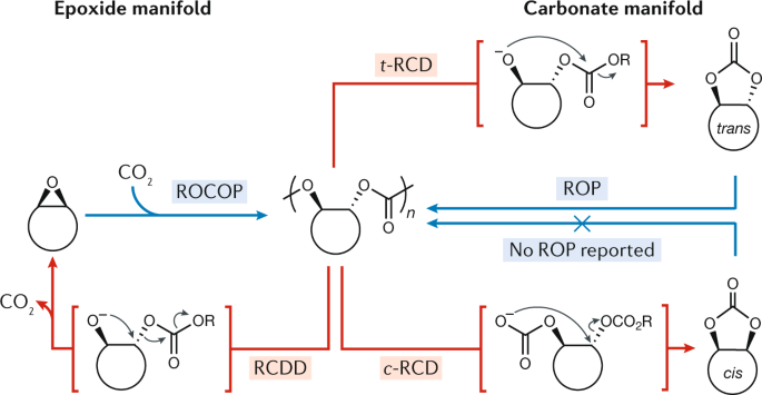 Chemical recycling to monomer for an ideal, circular polymer economy