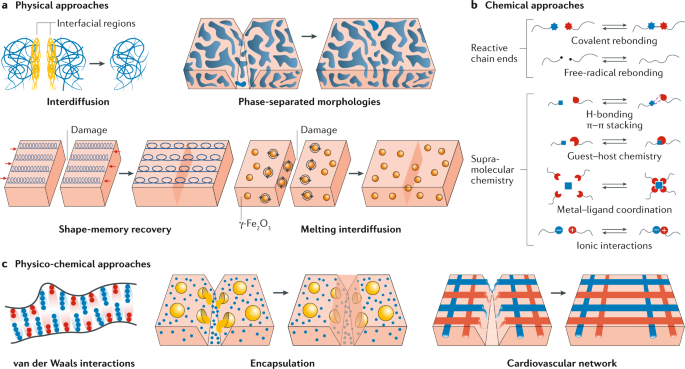 Self-healing polymers | Nature Reviews Materials