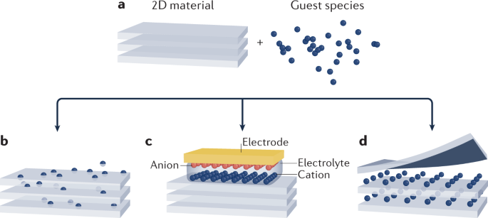 Electrostatic gating and intercalation in 2D materials | Nature 