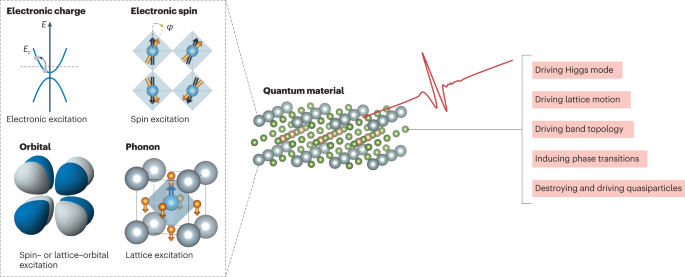 Terahertz control of many-body dynamics in quantum materials 